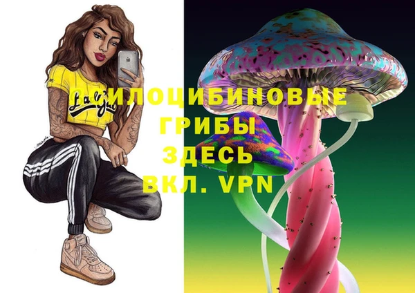 дживик Алзамай