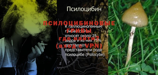MDMA Аркадак