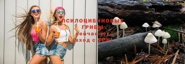 дживик Алзамай