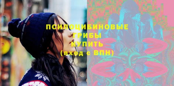 соль ск Арсеньев