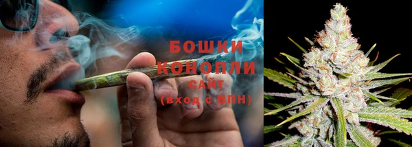 соль ск Арсеньев