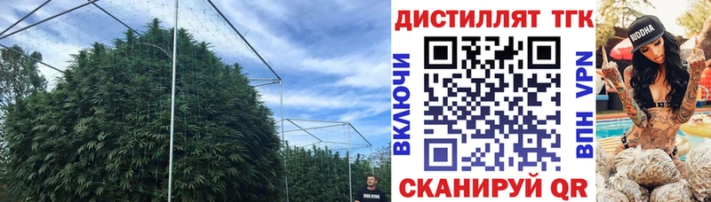 купить наркотики цена Балей Дистиллят ТГК концентрат