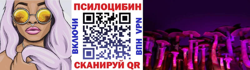 Псилоцибиновые грибы Psilocybine cubensis  Балей 