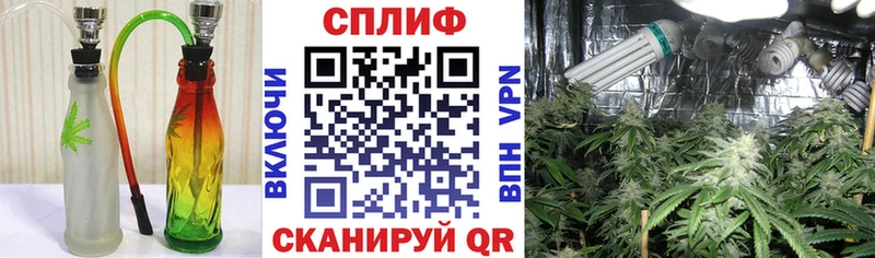 Марихуана планчик  даркнет сайт  Балей 